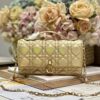 Miss Dior Cannage Bag - Image 4
