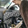 Dior Saddle Bag