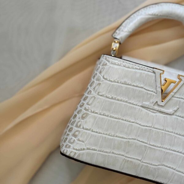Louis Vuitton Pre-owned Mini Capucines Bag - Image 2
