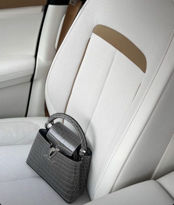 Louis Vuitton Capucines Mini - Image 11