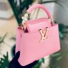 Louis Vuitton Capucines Mini