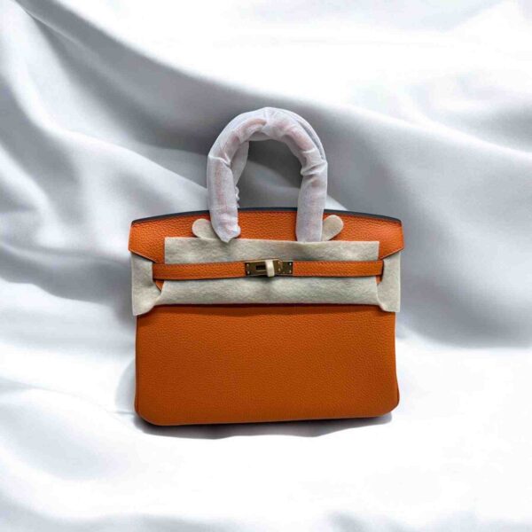 Hermès Birkin 25 - Image 5