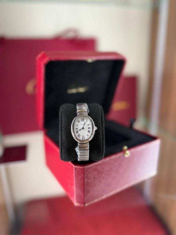 Ballon Bleu de Cartier