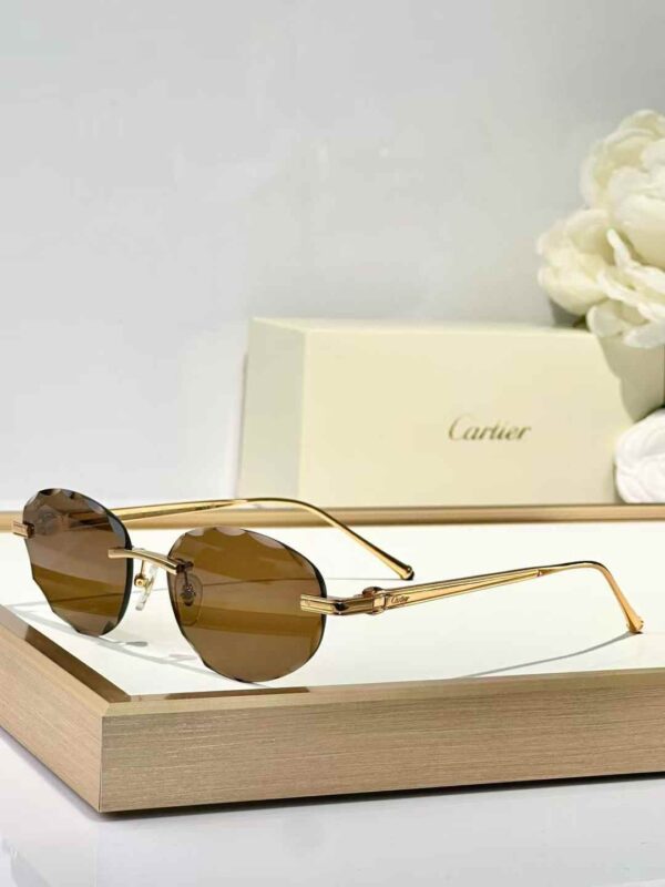 Cartier Women's CT0504S Sunglasses